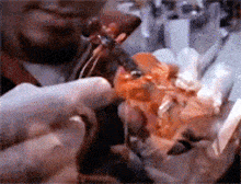 a person is holding a piece of food in their hand