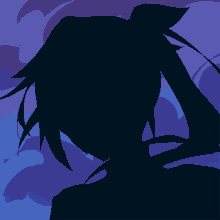 a silhouette of a person with a ponytail