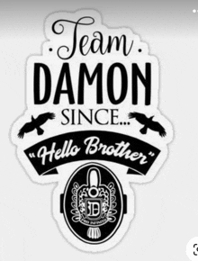 Team Damon GIF - Team Damon GIFs