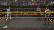 Just Standing There Wat GIF - Just Standing There Wat Wrestling GIFs