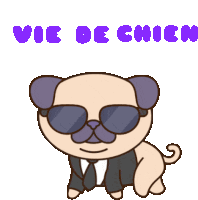 Vie De Chien Chien Sticker - Vie De Chien Chien Pug Life Stickers