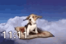 Beagle In GIF - Beagle In Flight GIFs