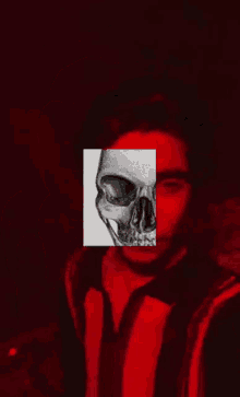 Selfie Skeleton GIF - Selfie Skeleton Skull GIFs