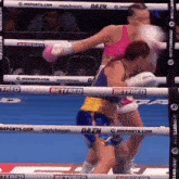 Skye Nicholson Boxing GIF - Skye Nicholson Boxing GIFs