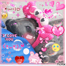 a dog wearing a pink hat with the words i love you written on it