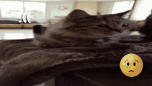 a cat is laying on a blanket next to a crying face