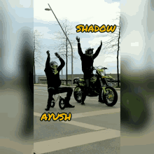 Shadow Ayush GIF - Shadow Ayush Probo GIFs