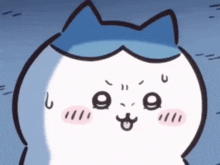 a white cat with a blue hat on its head