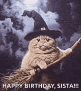 a cat wearing a witch hat is riding a broom .