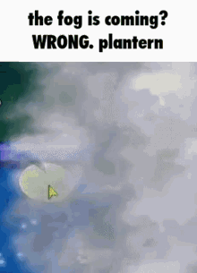 Plantern GIF - Plantern GIFs