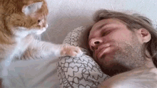 Cat Alarm GIF - Cats Kittens Cat Alarm GIFs