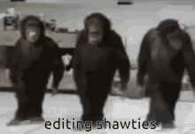 Shawty Editing GIF - Shawty Editing Monkey GIFs
