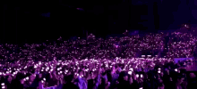 Blackpink Crowd GIF - Blackpink Crowd Glow GIFs