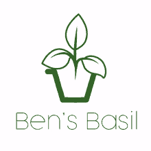bensbasil basil ukbasil grown in uk