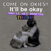 two cats hugging with the words come on okies it 'll be okay you 'll get adopted today on the bottom