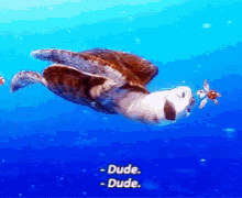 finding nemo quotes squirt
