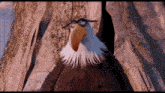 Mighty Eagle Stand Proud GIF - Mighty Eagle Stand Proud Hero GIFs