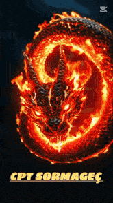 a poster with a dragon on it that says cpt sormagec