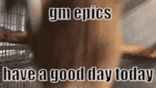 Gm Epics Good Morning Epics GIF