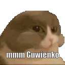 a close up of a cat 's face with the words `` mmm guwienko '' written on it .