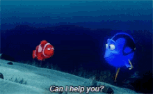 dory finding nemo can i help you fish ocean