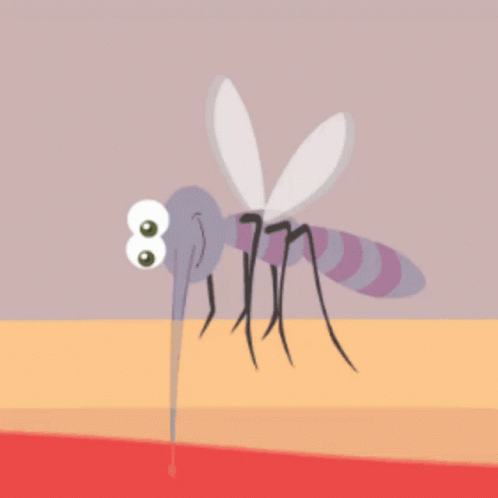 Animated Mosquito GIFs | Tenor