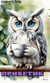 an owl holding a cup of coffee with the words coffee written on it
