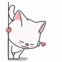 beating heart favorite cat growing love sweetheart beating heart favorite cat growing love sweetheart