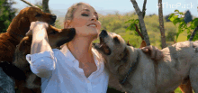 Lick The Pack GIF - Lick The Pack Amazon GIFs
