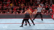 Roman Reigns One Arm GIF - Roman Reigns One Arm Sit Out Powerbomb GIFs