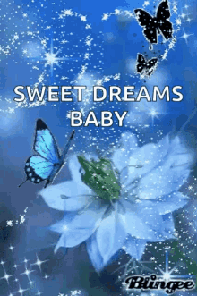 Sweet Dreams Butterflies GIF - Sweet Dreams Butterflies Sparkles GIFs