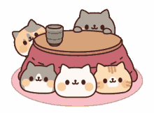 cats cutecats