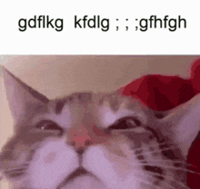 Silly Cat Yapping GIF - Silly Cat Yapping Gibberish GIFs