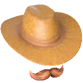 a cowboy hat with a fake mustache behind it