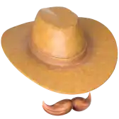 a cowboy hat with a fake mustache behind it