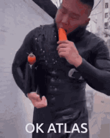 Carrot GIF - Carrot GIFs