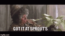 harrypotter sprouts professorsprout