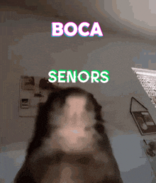 a blurred image of a cat with the words boca senors behind it