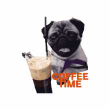 pug puglife coffe time coffe