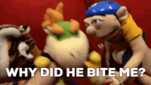 Sml Bowser Junior GIF - Sml Bowser Junior Why Did He Bite Me GIFs