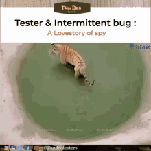 Tester Bug GIF - Tester Bug GIFs