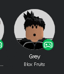 a picture of a roblox character with the name grey