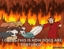 Dogs Hot GIF - Dogs Hot Vacuum GIFs
