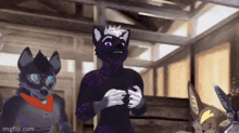I Just Made A Spilly Willy Xtreme GIF - I Just Made A Spilly Willy Xtreme Monti Wolf GIFs