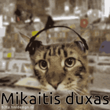 Mikaitis Duxas Duxas GIF - Mikaitis Duxas Duxas Mikaitis GIFs
