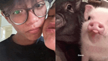 a man wearing glasses kisses a woman on the cheek next to a pig with the word owen on the bottom