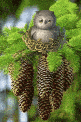 a baby owl is sitting in a nest on a tree branch