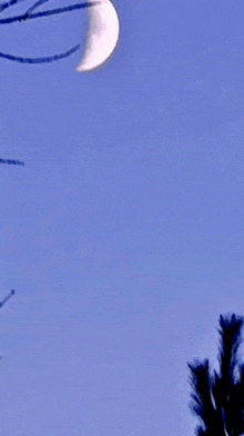 a crescent moon is visible in the blue sky