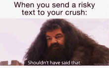 Risky Text Shouldnt Have Said That GIF - Risky Text Shouldnt Have Said That Hagrid GIFs