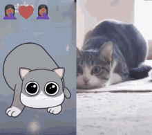 Cute Cat GIF - Cute Cat Shimmy GIFs